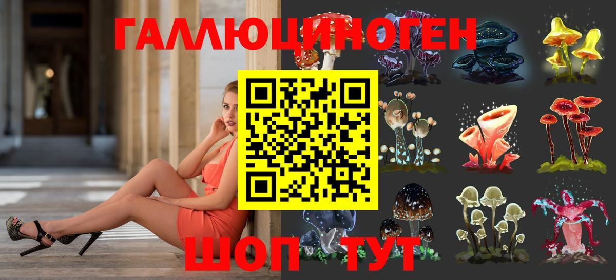 Галлюциногенные грибы Psilocybe  где продают   Вход с VPN  Нерюнгри  Галлюциногенные грибы MAGIC MUSHROOMS 